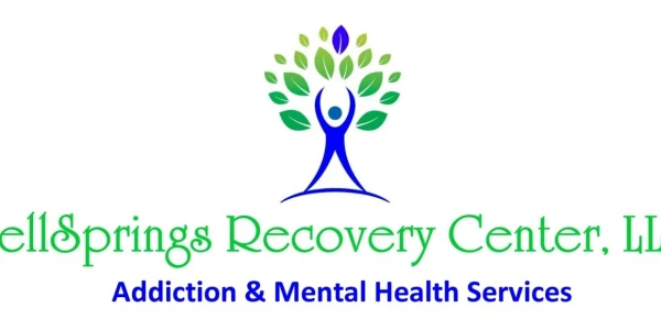 Wellsprings Recovery Center